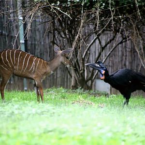 Back off, young man!