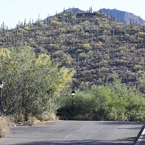 Driveway in parking lot.