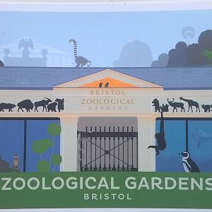 new image for souvenirs