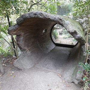 Log viewing into Fishing Cats