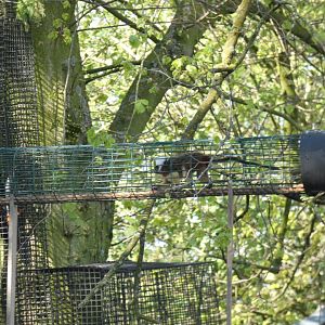 Series of over-head tunnels