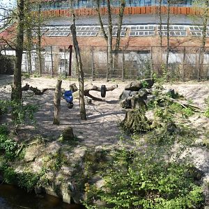 Panorama of Lion enclosure
