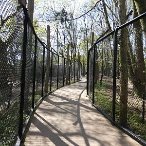 Viewing for Brown Bear and Wolves