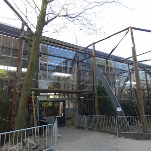 New outdoor enclosures for Squirrel Monkey