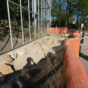 Black-tailed Prarie Dog enclosure