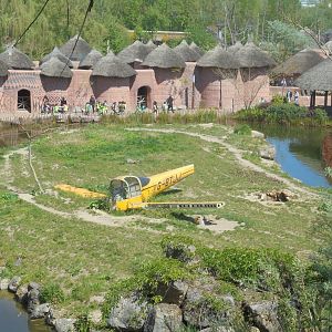 Crashed aeroplane/ spotted hyaenas.