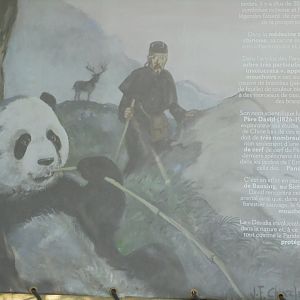 Pere David and his discoveries