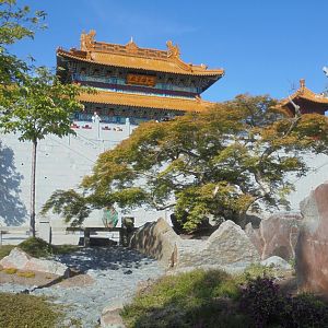 Chinese gardens( part of)