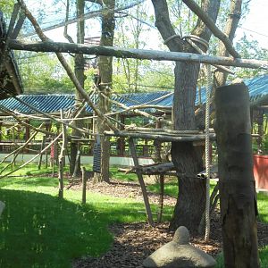 Francois langur enclosure(part of)