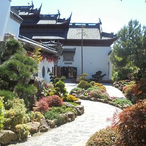 more Chinese/japanese garden