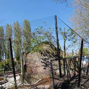 New Snowy Owl/Red-crowned Crane aviary under construction