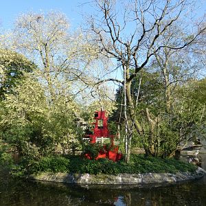 Golden-cheeked Gibbon island