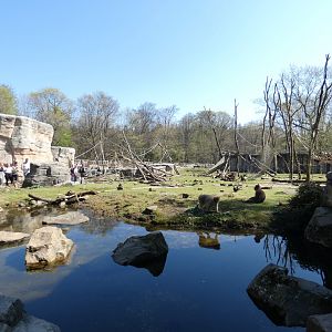 Walk-through Barbary Macaque enclosure
