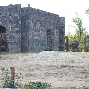 African - Asian elephant enclosure