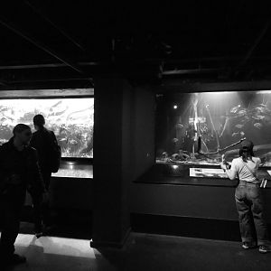 My last visit to the London Zoo aquarium