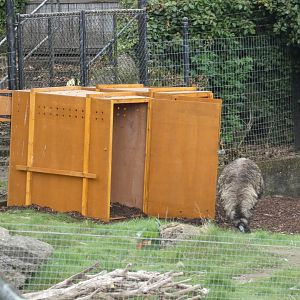 Transport crates in Emu enclosure