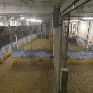 Giraffe indoors on Mersus Emergo