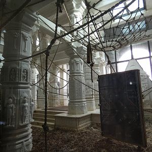 part of Sumatran Orang-utan indoor