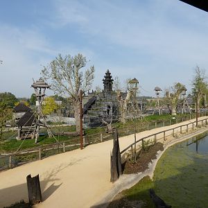 Sumatran Orang-utan enclosure