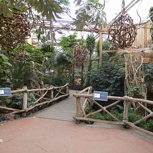 Aracari walk-through