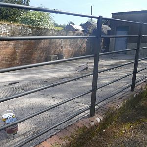 Tapir/capybara enclosure, May 2019