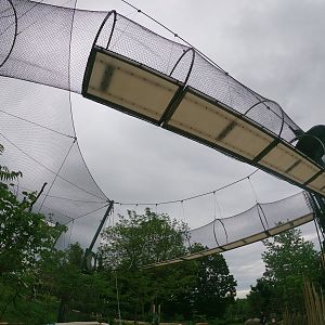 May. 2019 - New! - Colobus Crossing