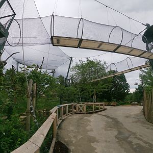 May. 2019 - New! - Colobus Crossing