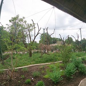 May. 2019 - New! - Colobus Crossing