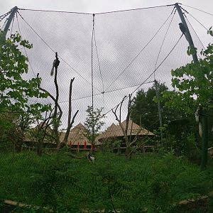 May. 2019 - New! - Colobus Crossing