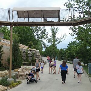 May. 2019 - New! Snow Leopard Pass - Overhead Walk