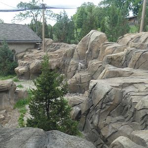 May. 2019 - New! Snow Leopard Pass - Main Exhibit