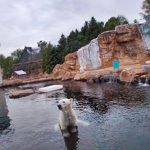May. 2019 - Glacier Run - Polar Bear/Brown Bear Exhibit