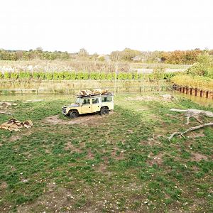 View into the Lion-enclosure