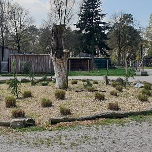 View into the park - Black stork enclosure