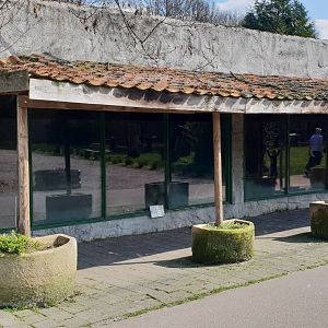 Tortoise - iguana enclosure