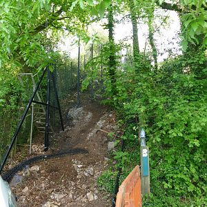 Fence building, May 2019