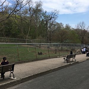 High Park Zoo - Reindeer Pen