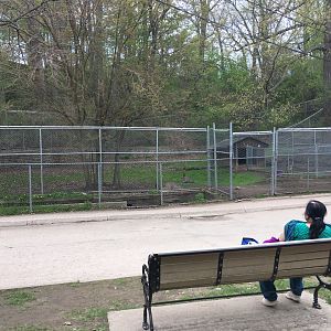 High Park Zoo - Emu Pen