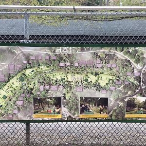 High Park Zoo -Master Plan