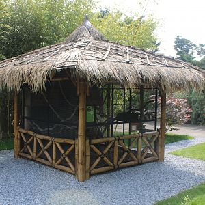 Enclosure Pere David's squirrel