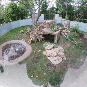 May. 2019 - Voyage to Australia & the Islands - New! Tasmanian Devil Exhibit