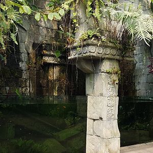 Aquarium in the Butterfly-house