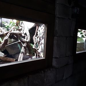 Enclosure Green tree monitor