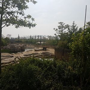 Elephant outdoor-enclosure and Tropical Hall