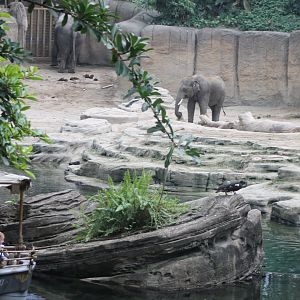 Boat-ride along Elephant indoor-enclosure