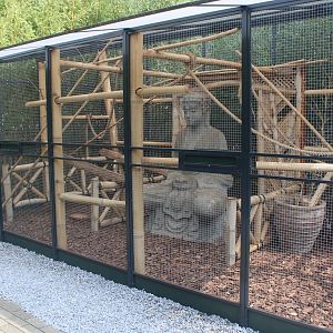 A second enclosure for Pere David's squirrel