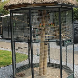 Lovebird-aviary