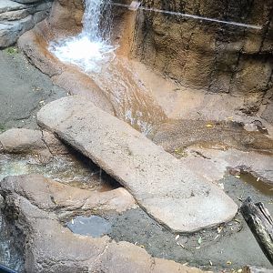 New walkways over the water ways for the keepers-bonobo exhibit