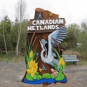 Canadian Wetlands