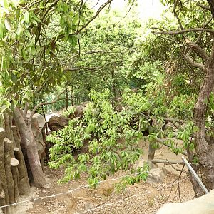 Enclosure of arctic wolfes (Canis lupus) - 16.04.2019